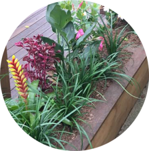 Garden Care